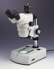 Stereoscopic Microscope